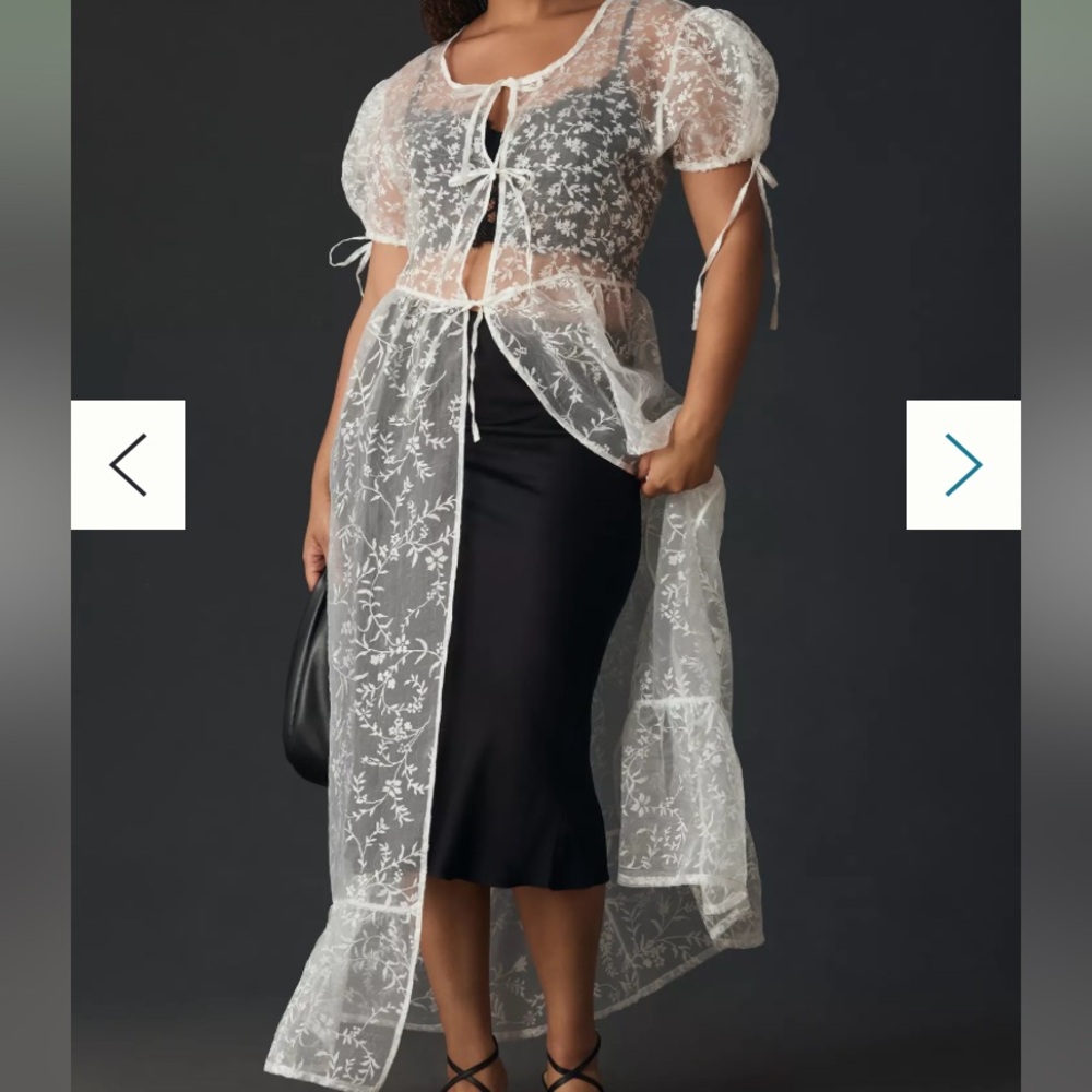 1X Anthropologie sheer short sleeve organza maxi dress